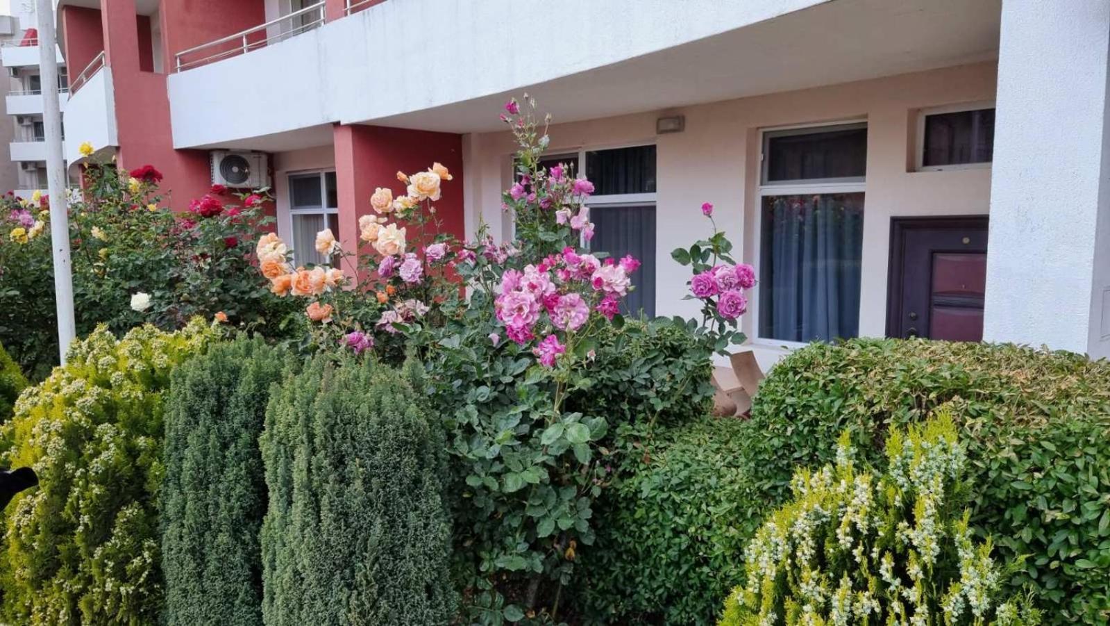 Luxurious Studios Nani Kranevo Ngoại thất bức ảnh