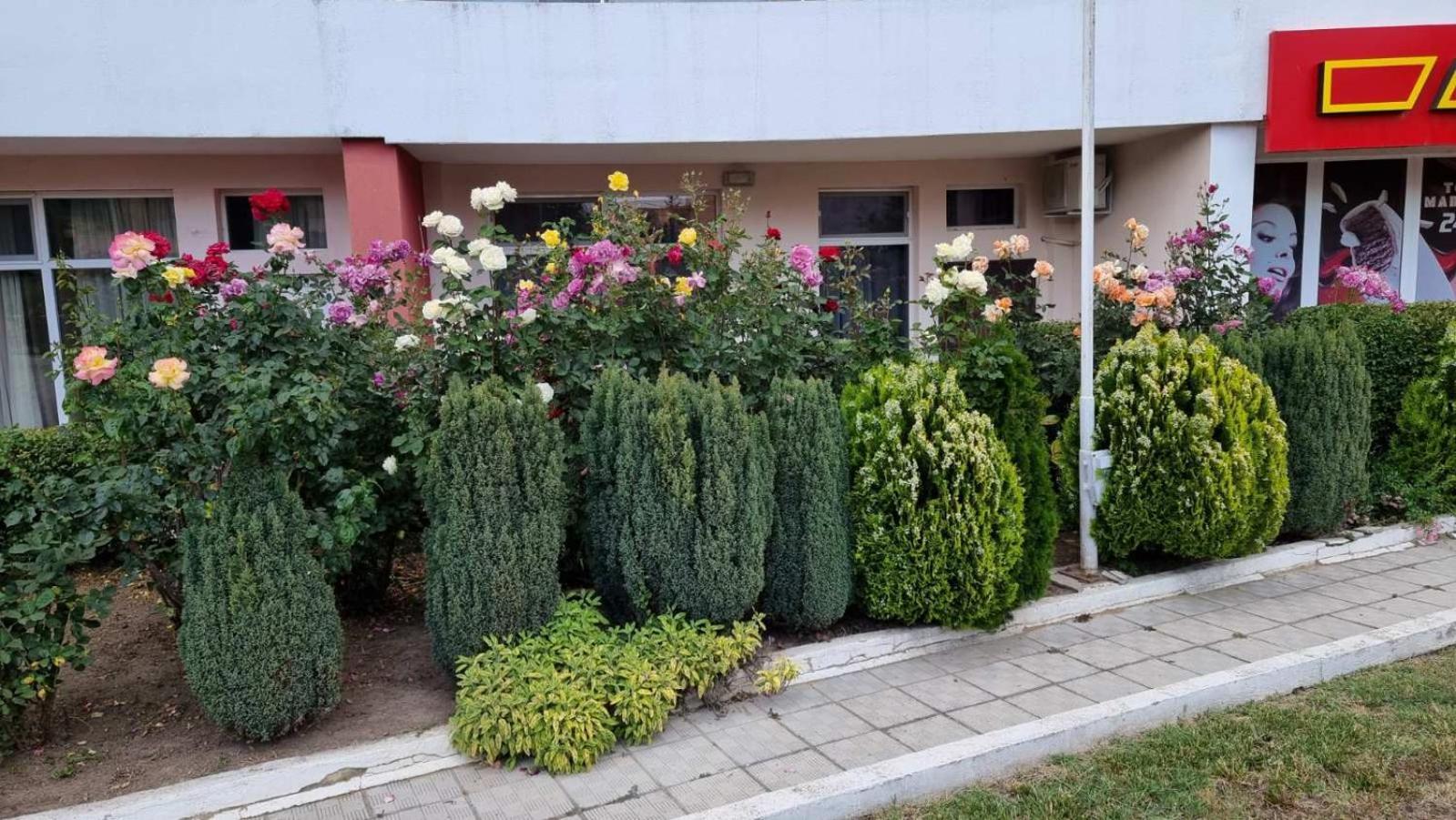Luxurious Studios Nani Kranevo Ngoại thất bức ảnh